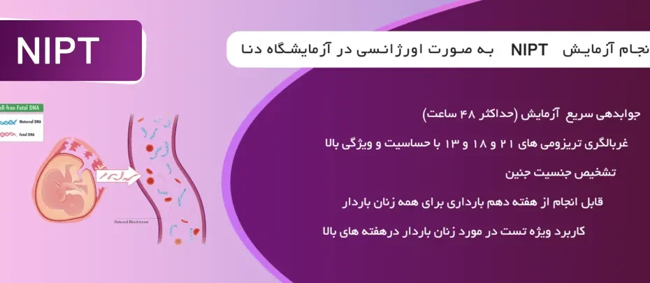 آزمایش NIPT آزمایشگاه دنا