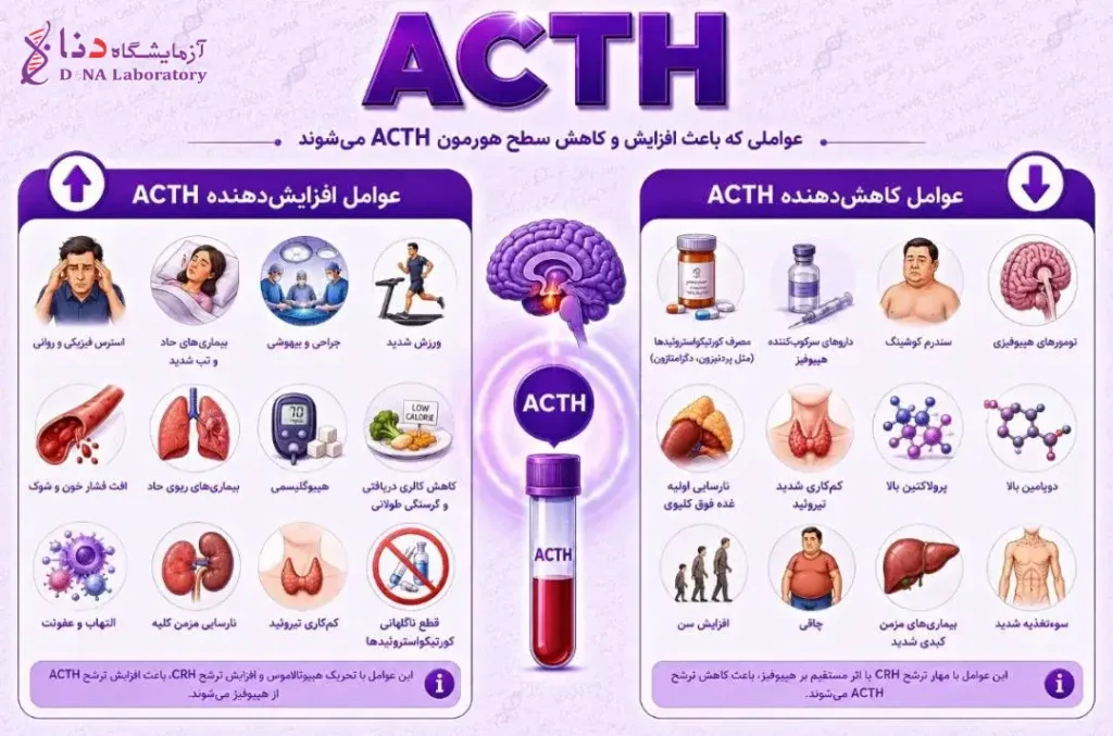 آزمایش acth