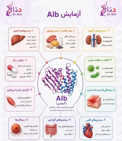 alb test